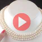 <iframe width="450" height="280" src="https://www.youtube.com/embed/GjOXYJpxeaE" frameborder="0" allowfullscreen></iframe>