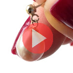 <iframe width="450" height="280" src="https://www.youtube.com/embed/YVCyJhHjkNM" frameborder="0" allowfullscreen></iframe>